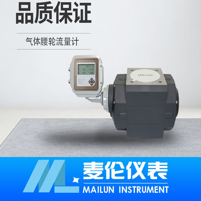 <b>氣體腰輪流量計(jì)</b> <b>氣體腰輪流量計(jì)</b>